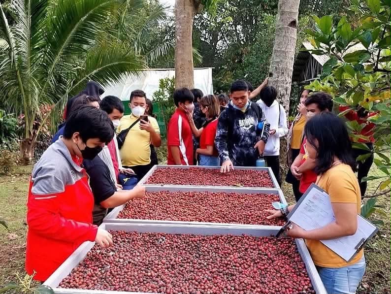 Visayas Roastery Collective