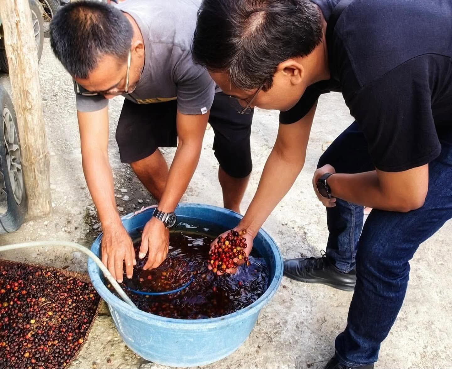 Mindanao Green Beans Export