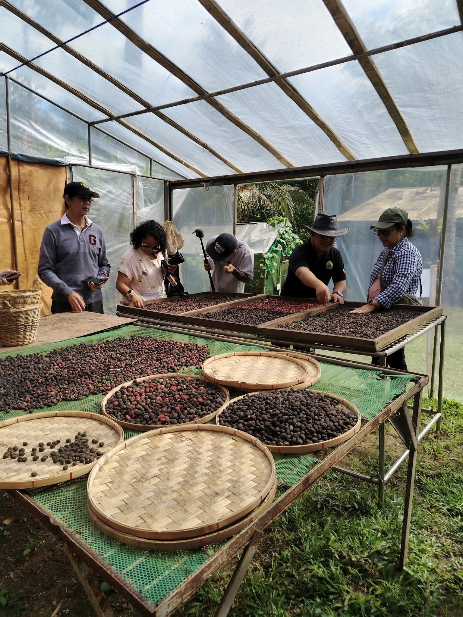 Manila Specialty Café